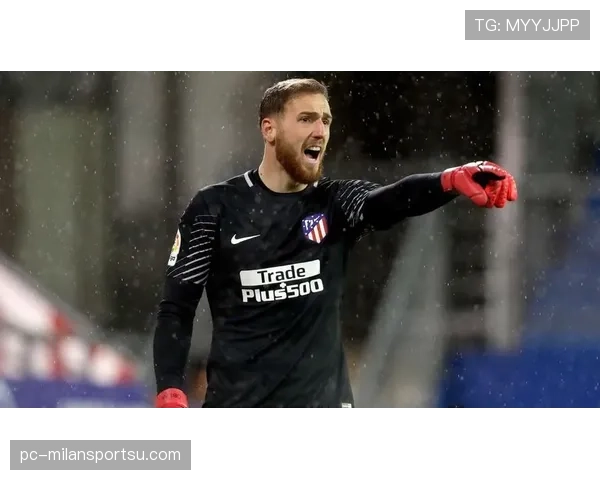 奥布拉克是否斯洛文尼亚国家队历史最佳门将