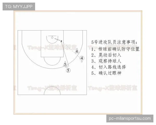 解析篮球规则中对身体接触容忍度的界定与具体标准